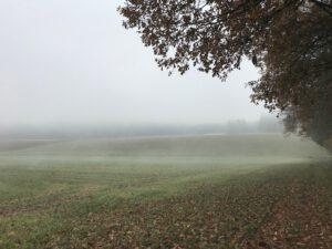 Nebel über hügeligen Feldern am Waldrand bei Weißenhorn