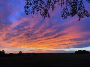 magischer Sonnenuntergang im Oktober am Waldrand von Weissenhorn