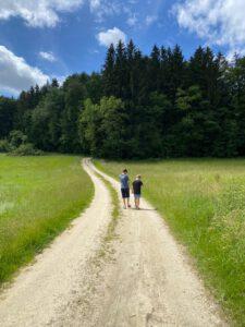 zwei Jungen gehen auf Wanderweg Richtung Wald