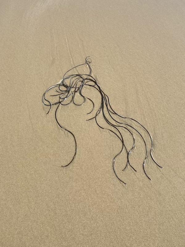 Cornish beach art