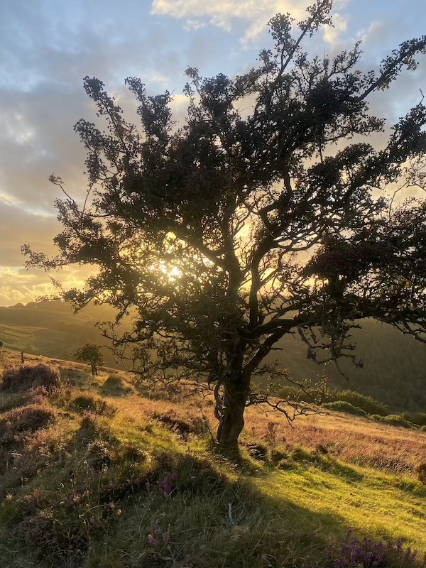 Sunset in Exmoor